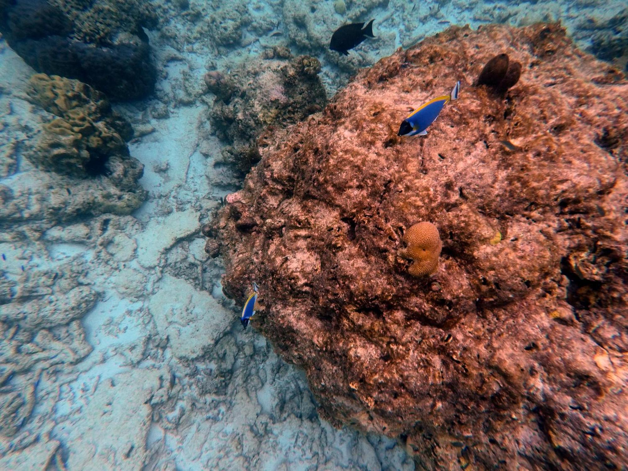 Moodhumaa Inn Guraidhoo  Luaran gambar