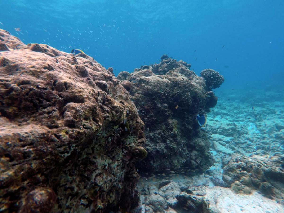 Moodhumaa Inn Guraidhoo  Luaran gambar