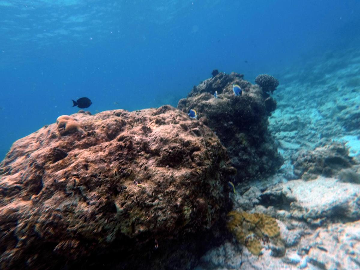 Moodhumaa Inn Guraidhoo  Luaran gambar
