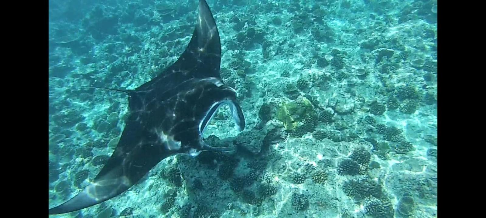 Moodhumaa Inn Guraidhoo  Luaran gambar