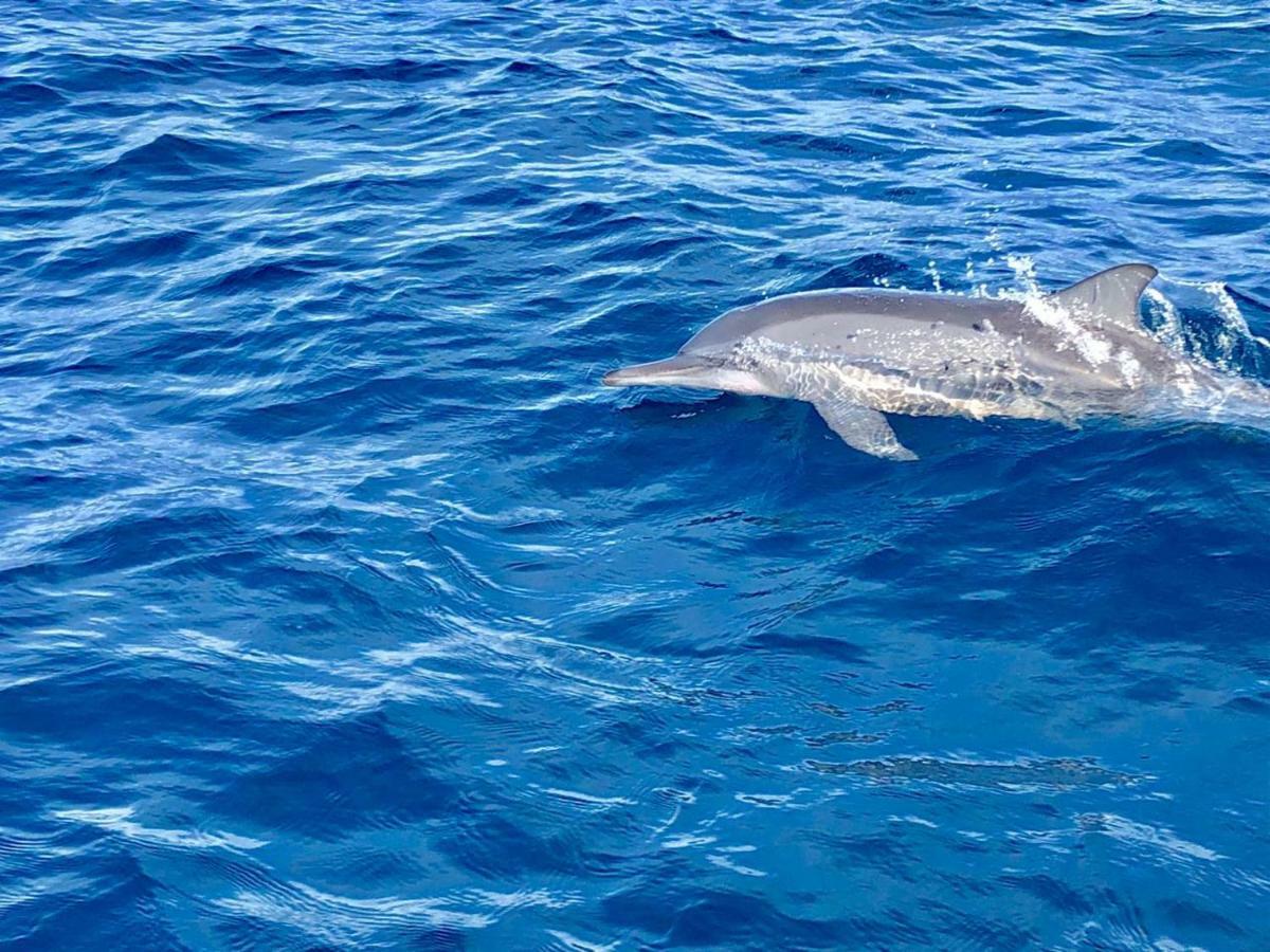 Moodhumaa Inn Guraidhoo  Luaran gambar