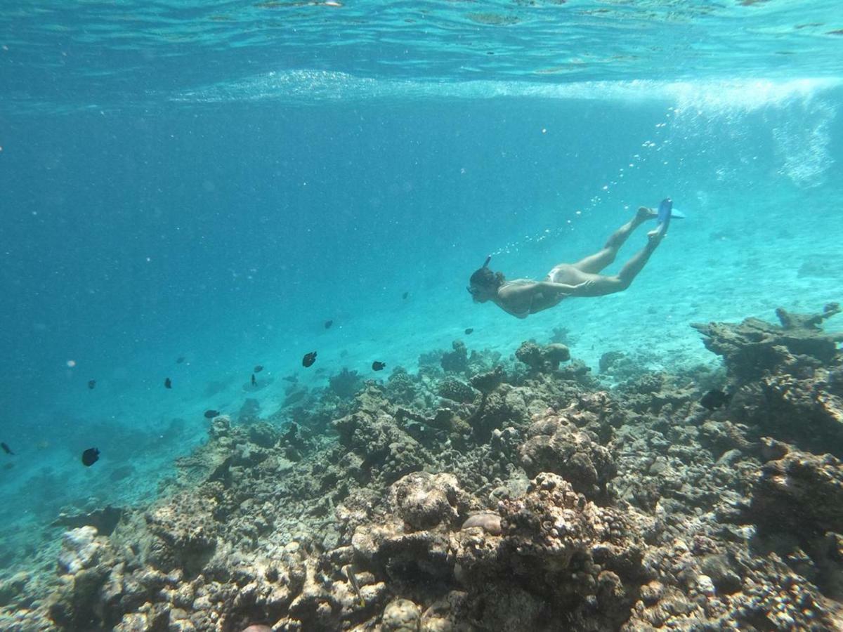 Moodhumaa Inn Guraidhoo  Luaran gambar