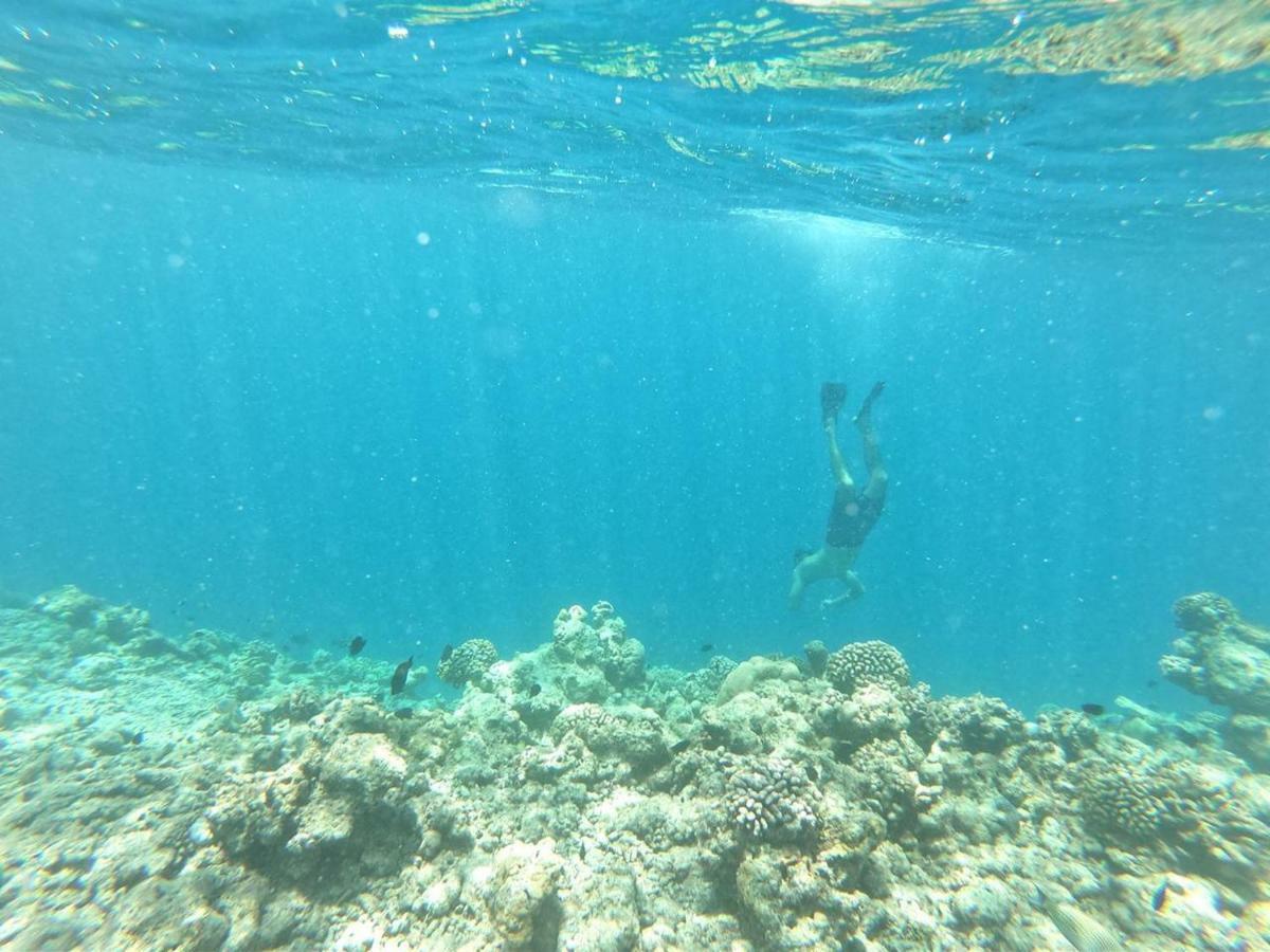 Moodhumaa Inn Guraidhoo  Luaran gambar